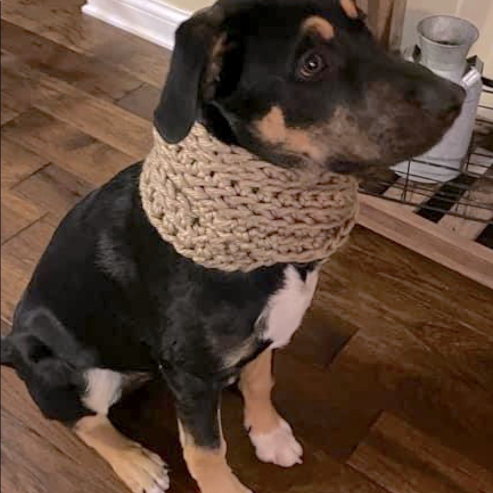 Dog scarf